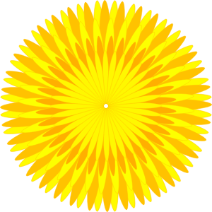 Dandelion PNG-12872